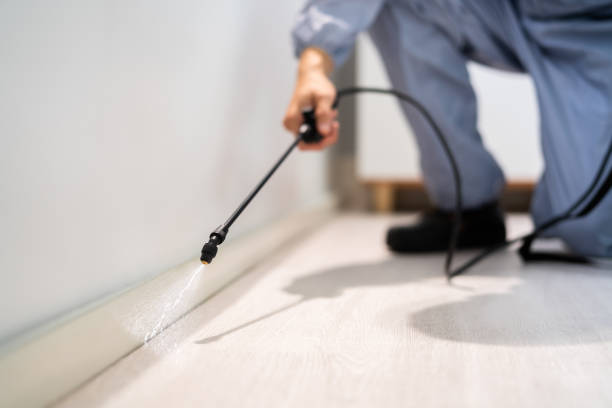 Licensed Cockroach Control service in Forest City, NC - Nex Pest Control