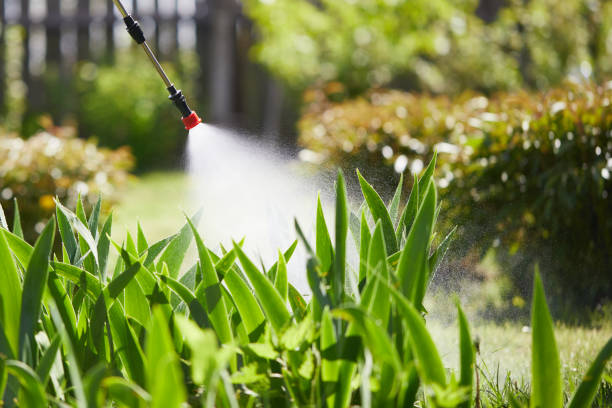 24/7 Emergency Cockroach Control experts in Forest City, NC