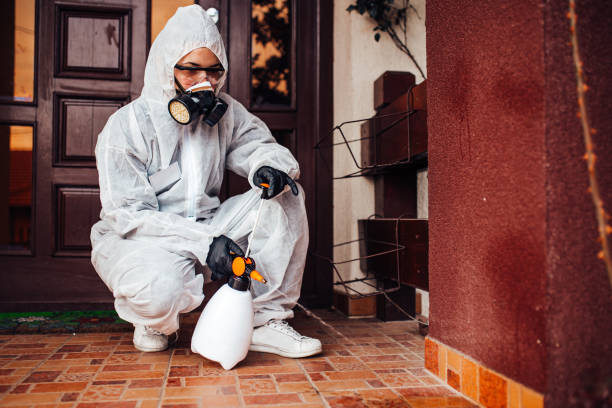 Reliable Cockroach Control contractor in Forest City, NC by Nex Pest Control